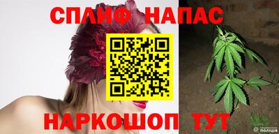 шишки Анапа