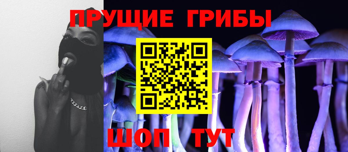 Гудермес  Галлюциногенные грибы Psilocybe  Вход с VPN 